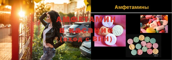 индика Алексин