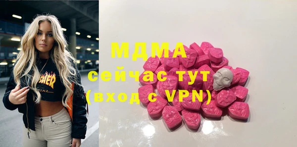 индика Алексин