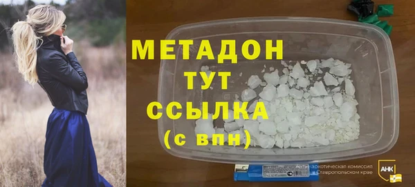 индика Алексин