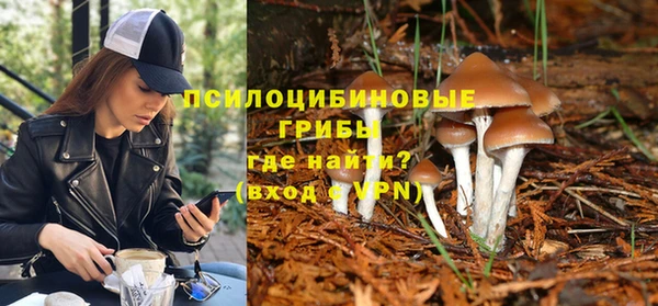 индика Алексин