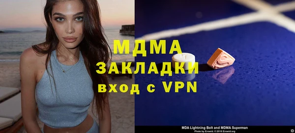 индика Алексин