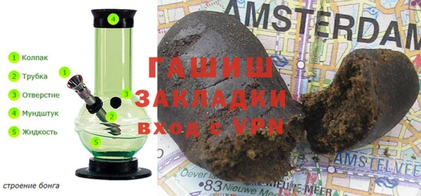 индика Алексин