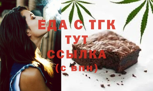 индика Алексин