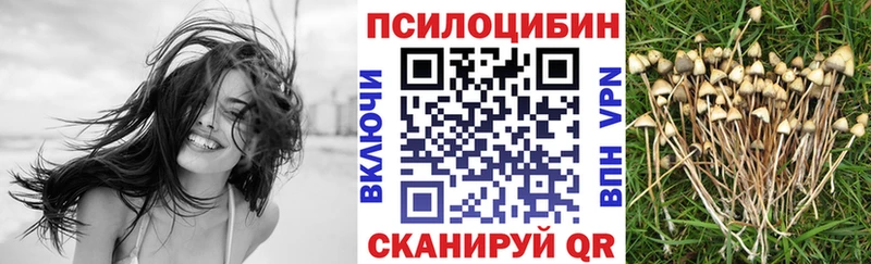 цены наркотик  Боготол  Галлюциногенные грибы Psilocybine cubensis 